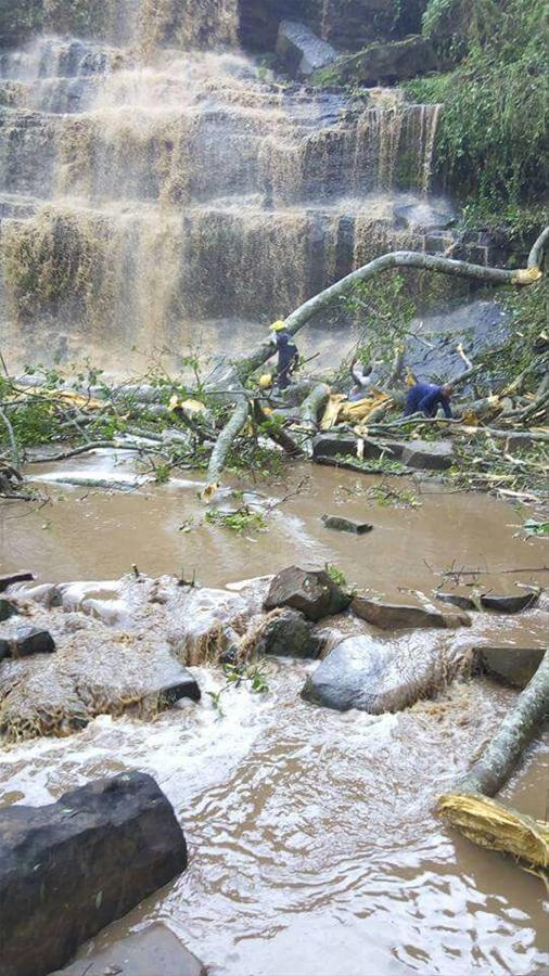 加纳一瀑布景区发生大树倒塌事故 至少16人遇难