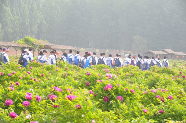 房山区天香牡丹园盛大开园，千张门票免费送