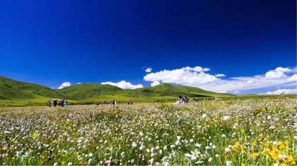 六月四川哪里景色最美