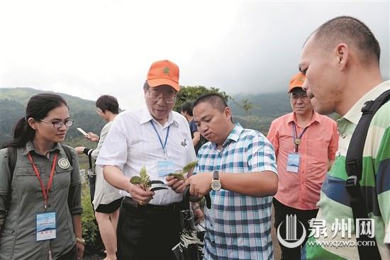 两岸学者聚泉州德化 探讨休闲农业合作模式 推动乡村旅游发展