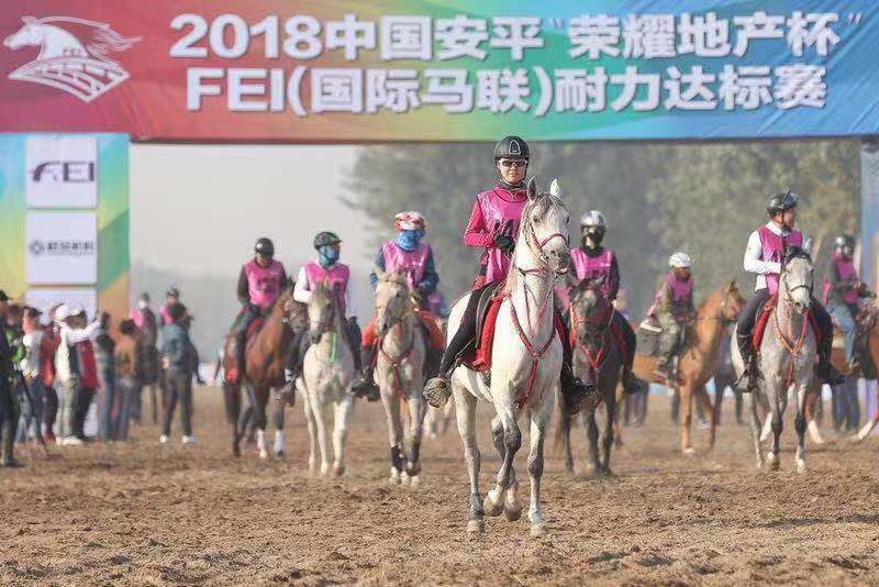 2018中国安平国际马联（FEI）耐力达标赛开赛 促文体旅游业产业升级