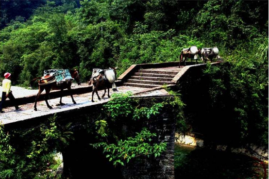 干货！媲美张家界的湖北柴埠溪大峡谷最全旅游攻略